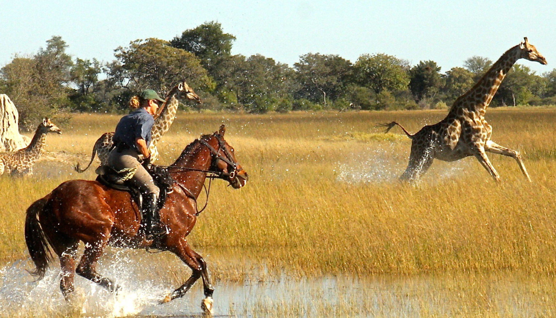 horse riding tours africa