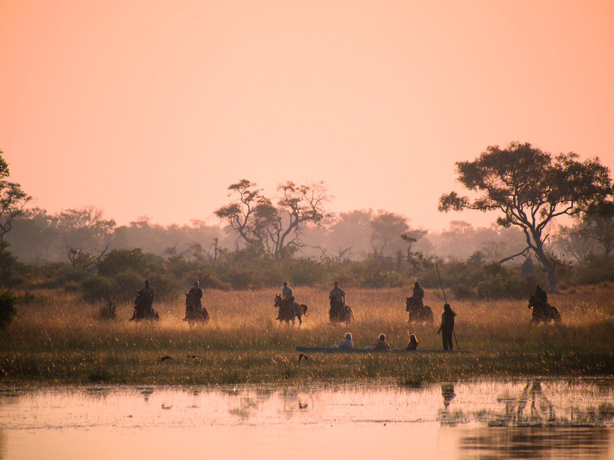 okavango delta horseback safari