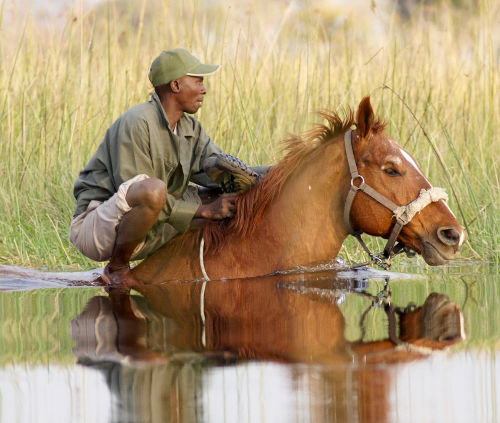 lamu-deep-water-groom