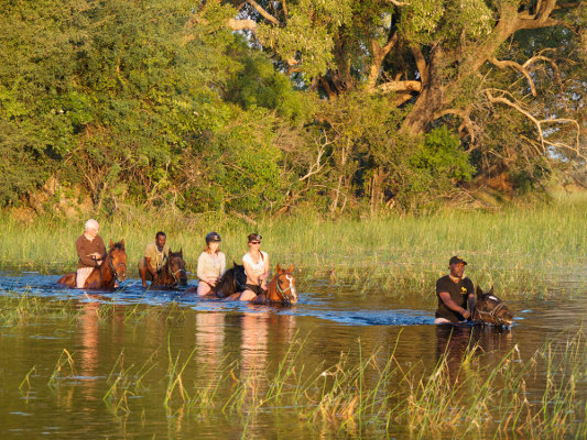 Okavango Horse Safaris; Riding Safaris Africa