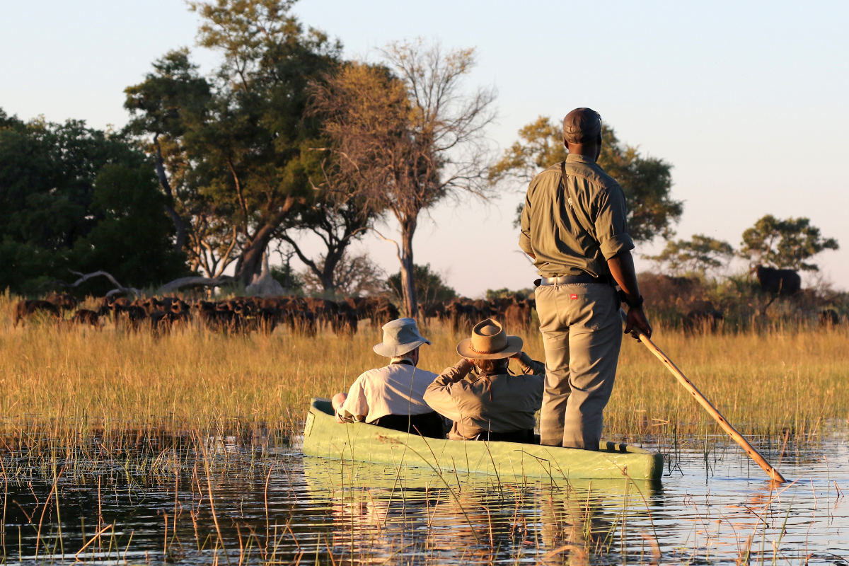 okavango delta horseback safari