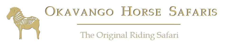 Okavango Horse Safaris